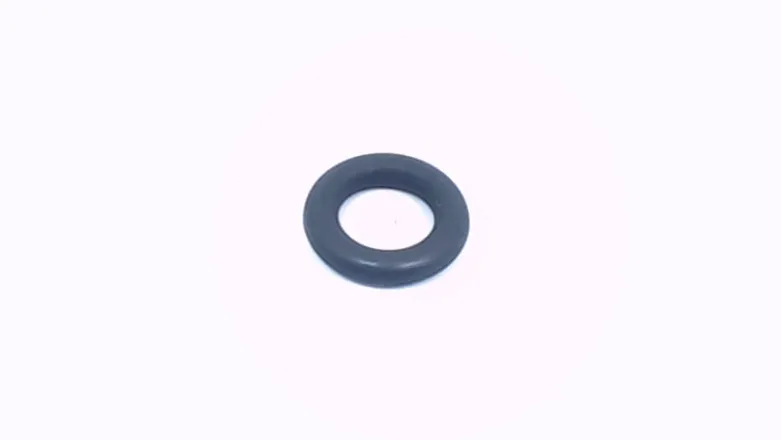 O-ring