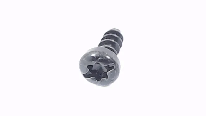 Torx Oval-head Screw
