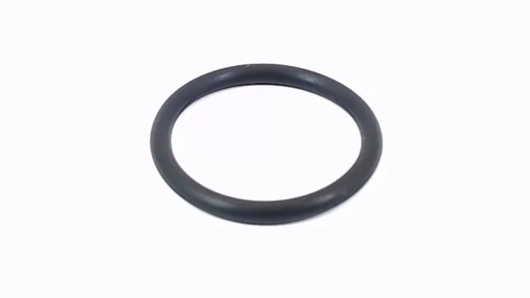 O RING 21