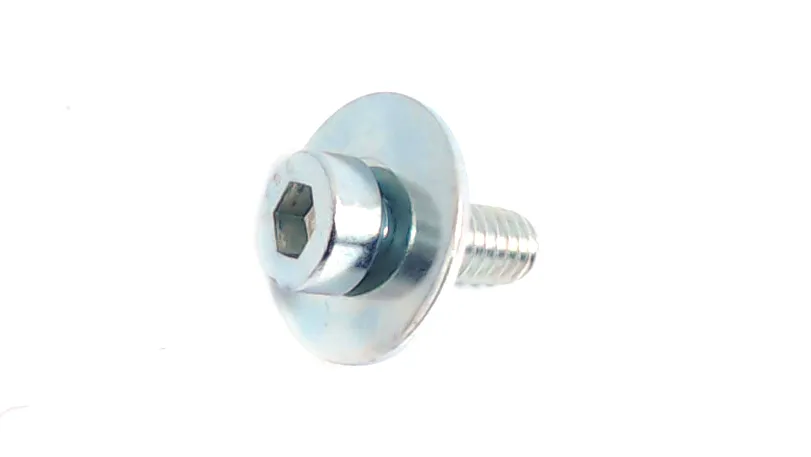 Screw