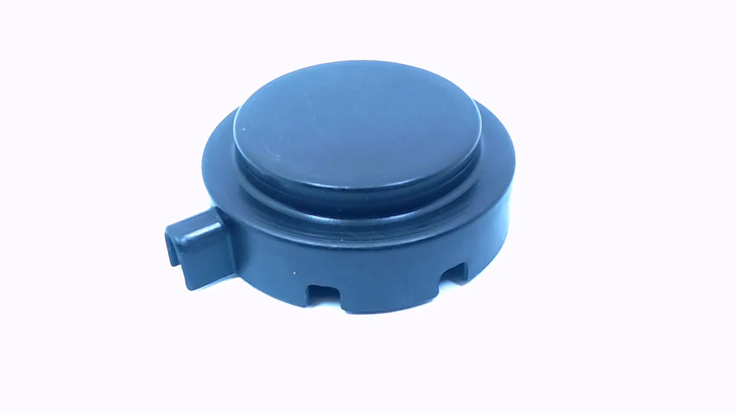 Magnet