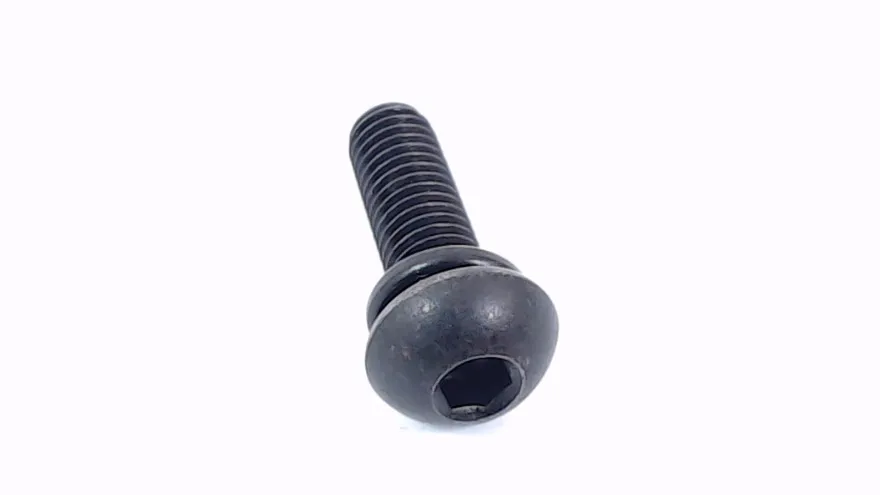 PAN HD SCREW M5X18 W/WASHER