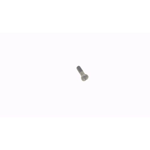 Special Screw (left Hand) M6x23