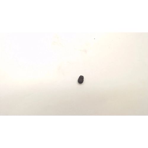 Plunger (a)