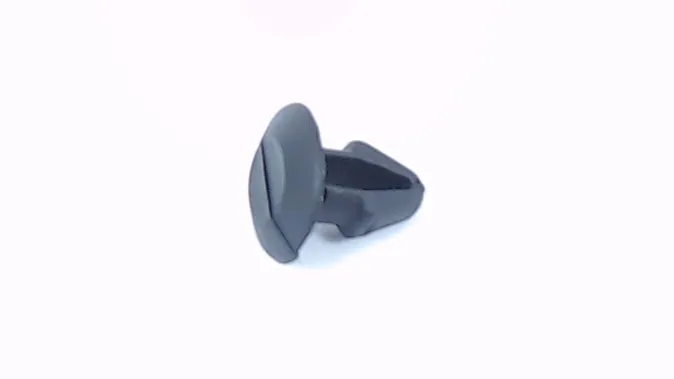 RIVET