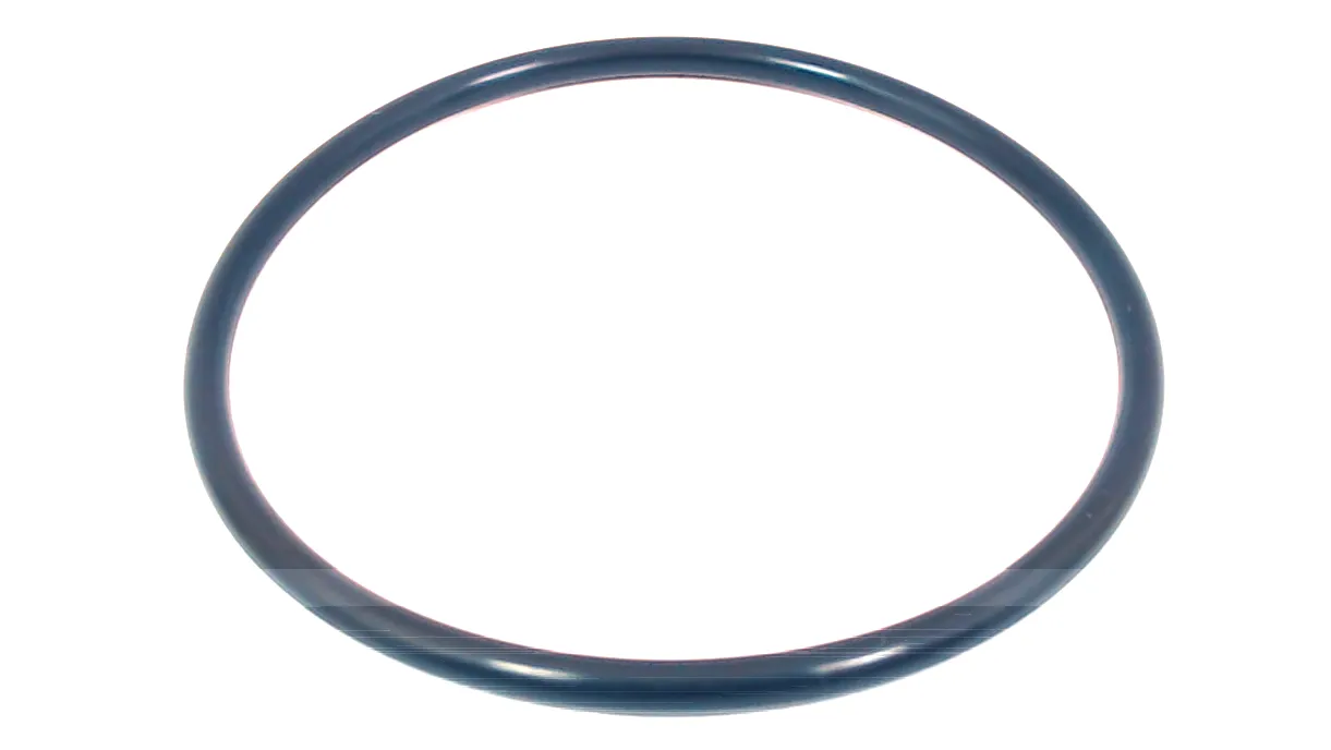 O-ring (i.d. 66.27)