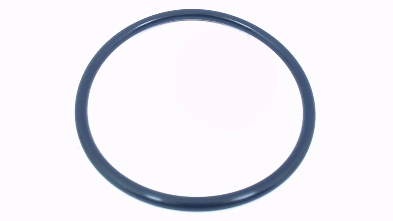 O-ring (i.d 59.92)