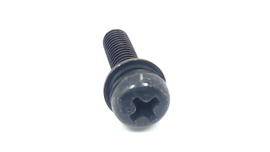 PAN HD SCREW M5X20 W/CP WASHE