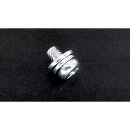 Machine Screw (w/washers) M6x10