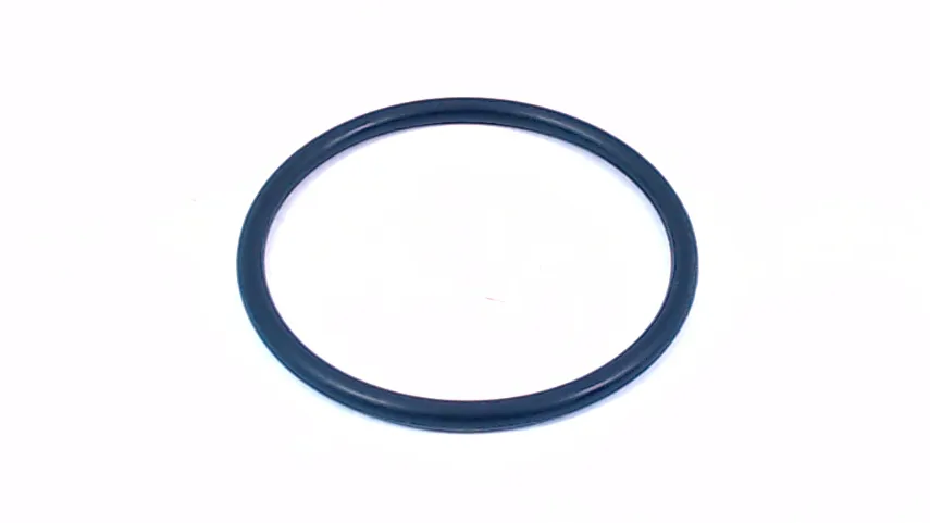 O-ring (b)