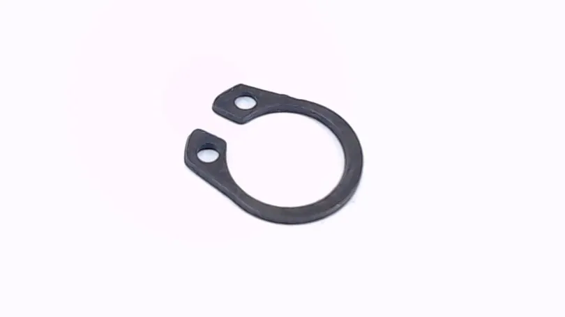 RETAINING RING 10 MLT100