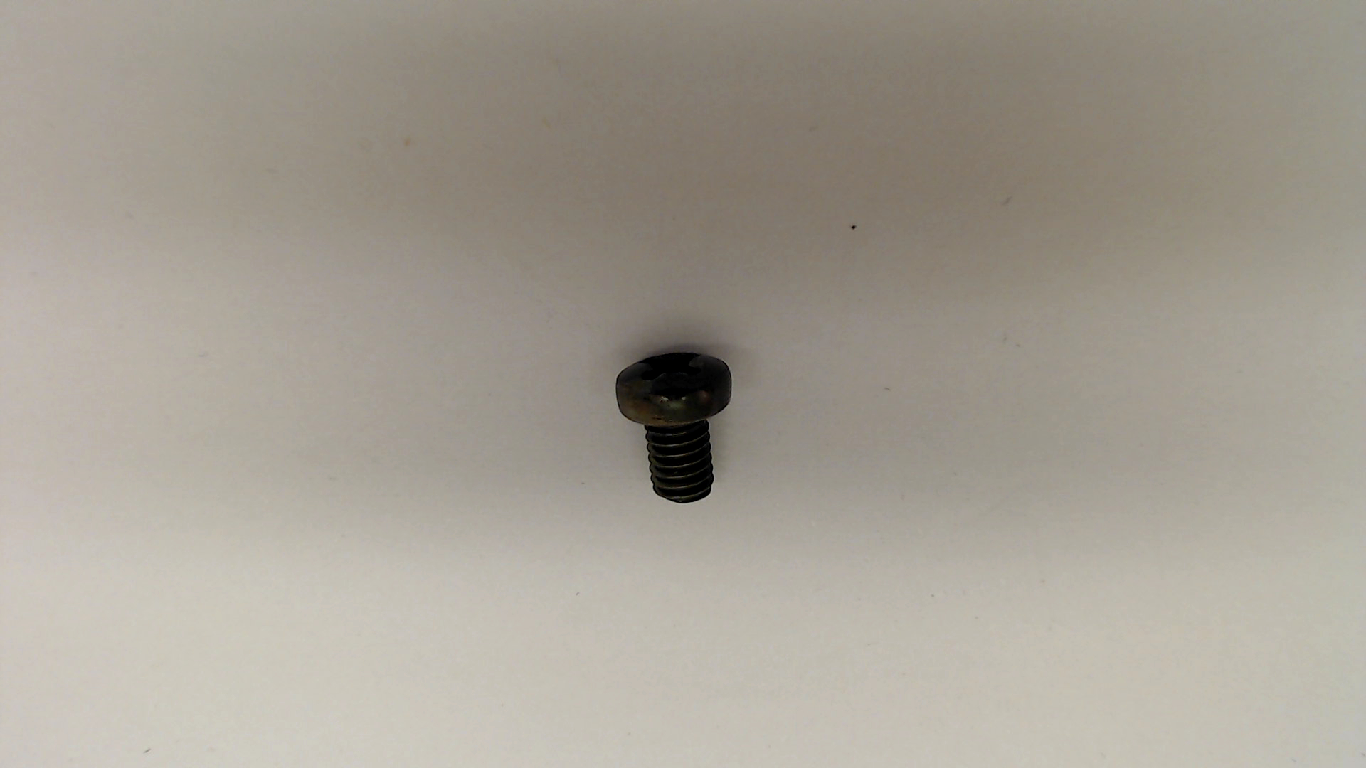 SCREW