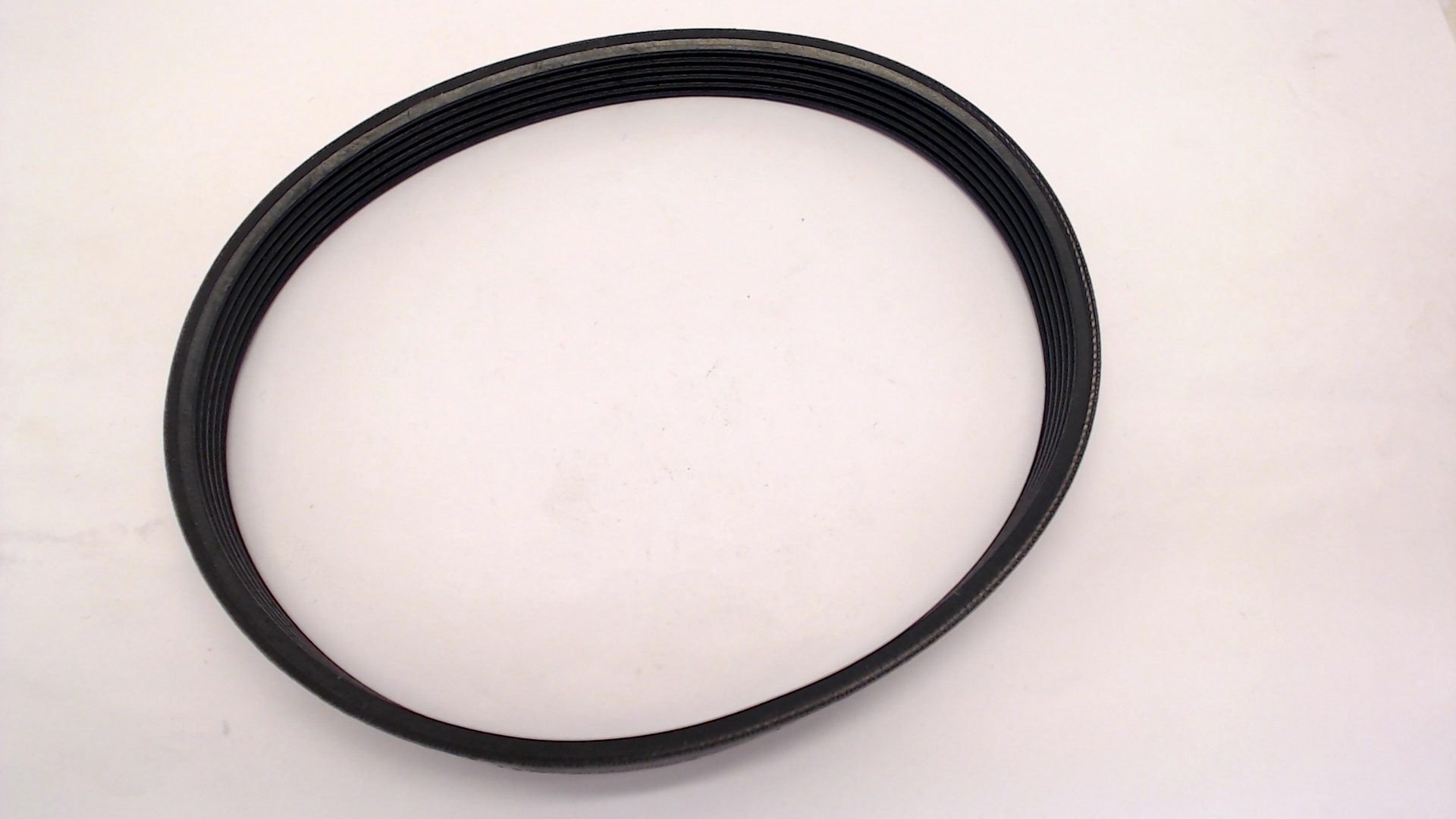 Ribbed Belt