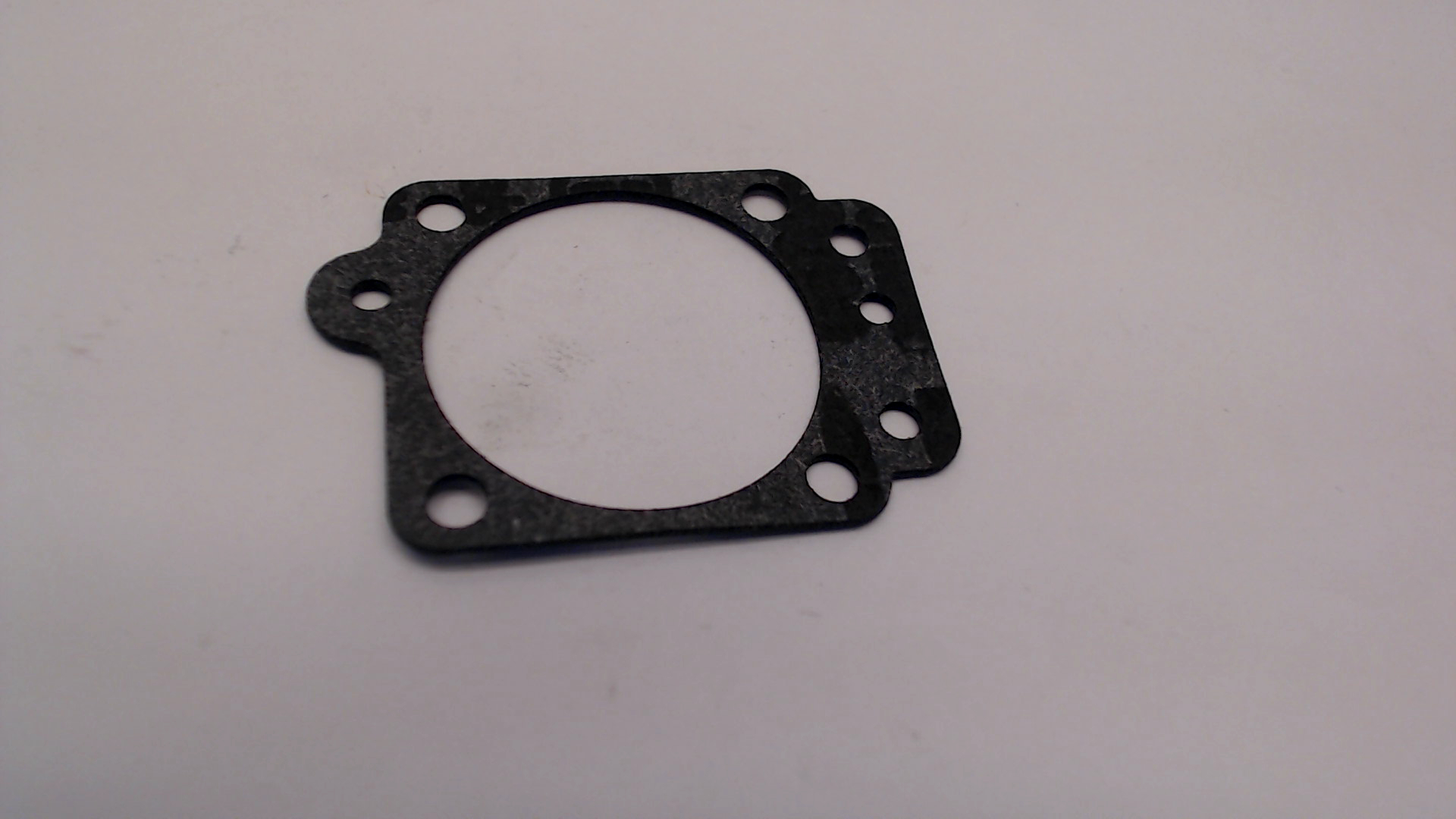 Diaphragm Gasket