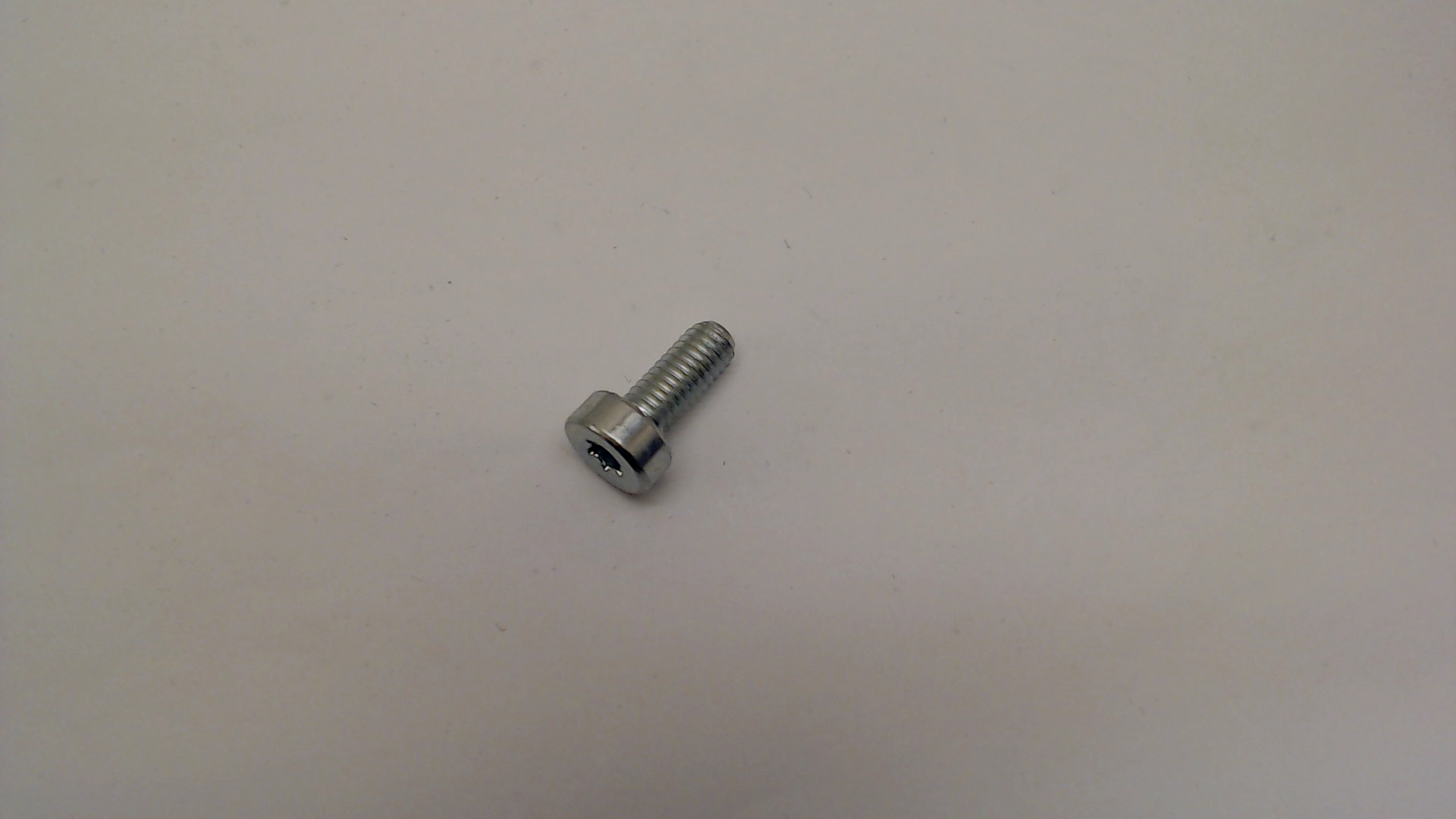 FILLISTER (TORX)HEAD SCREW M6