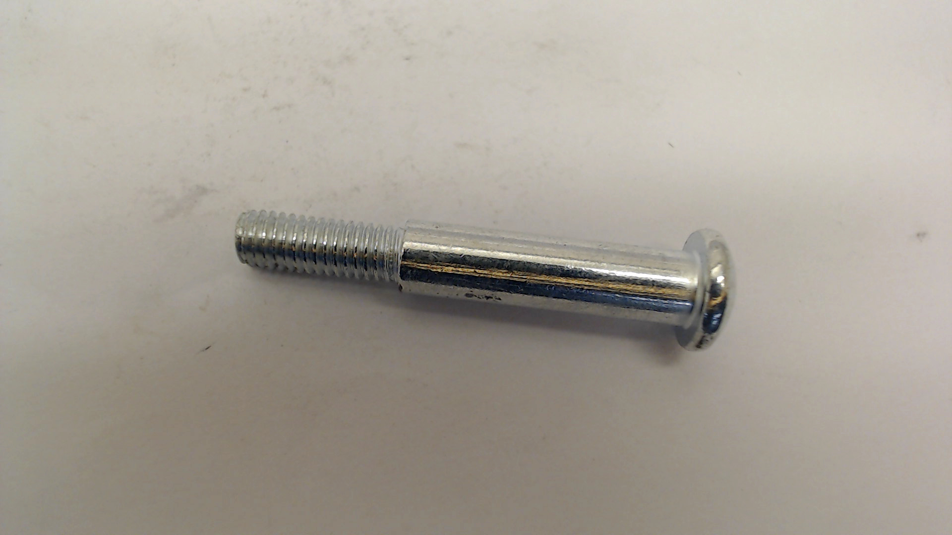 SCREW MLT100