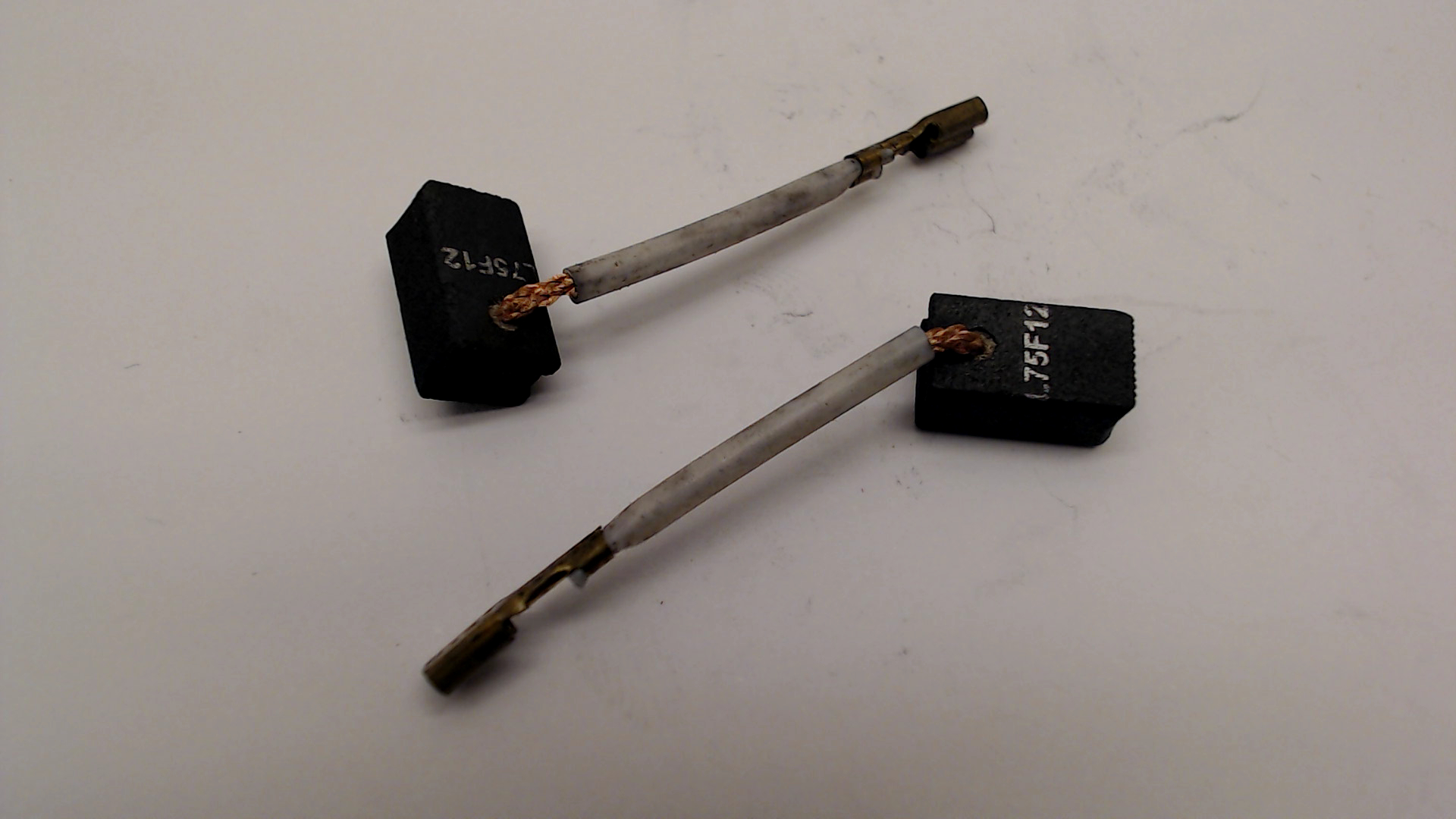 BRUSH PAIR 230V