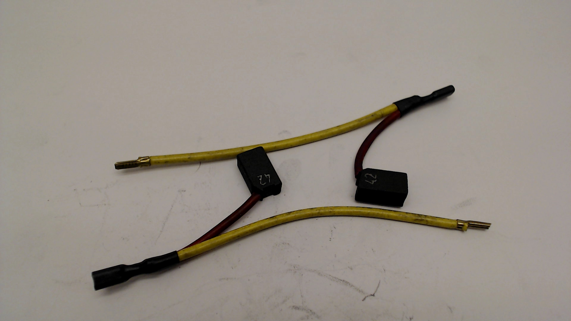 BRUSH PAIR 115V